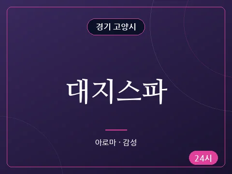대지스파