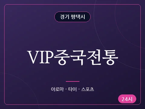 VIP중국전통