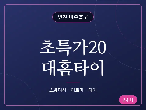 초특가20대홈타이