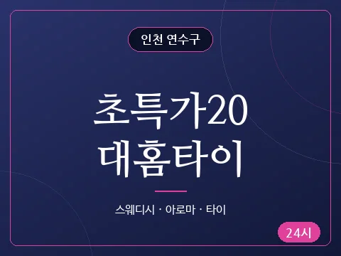 초특가20대홈타이