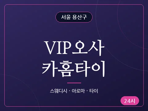 VIP오사카홈타이