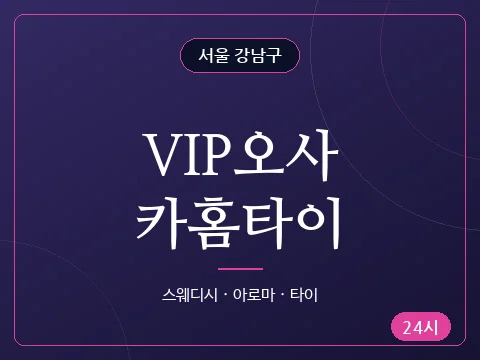 VIP오사카홈타이